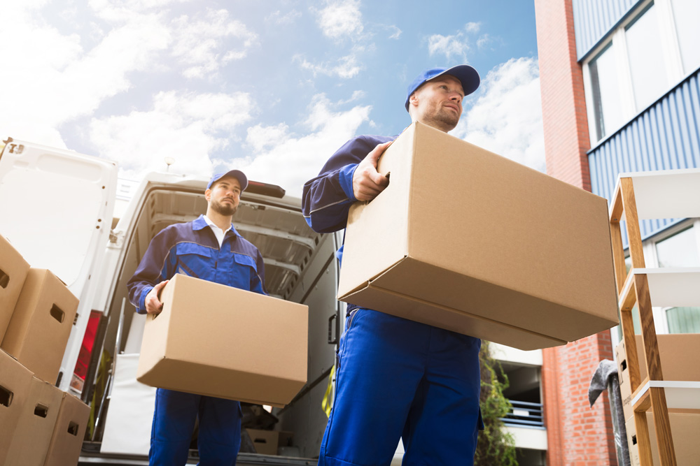 Edmonton-Whiteglove-Courier-Service Edmontno Whiteglove Courier Service